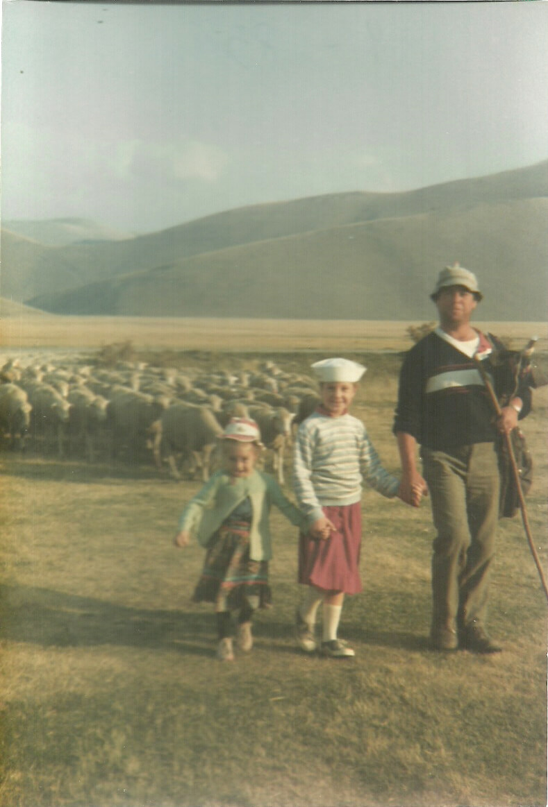 foto pascolo mucche