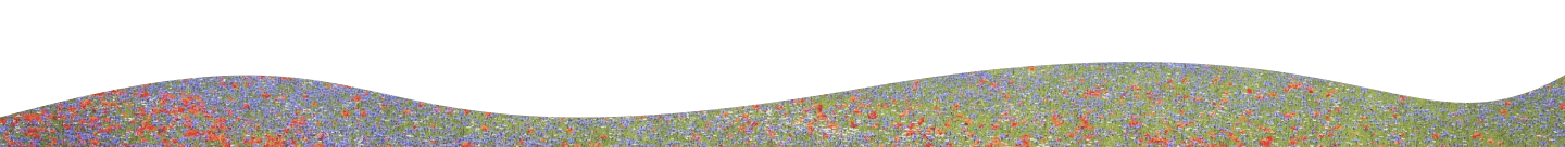 ondina